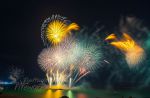 fireworks-type-021