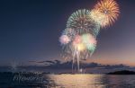 fireworks-type-036